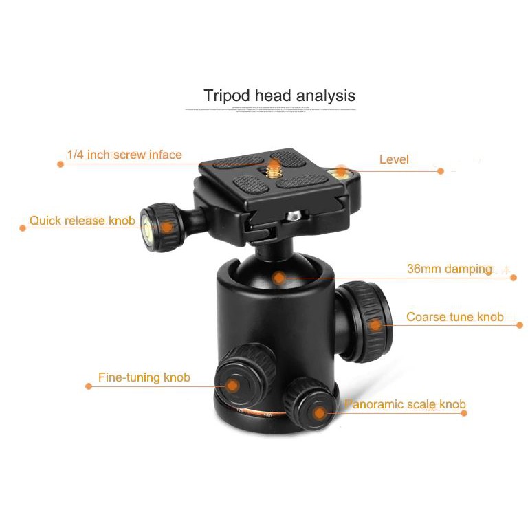 [Mã 254ELSALE giảm 7% đơn 300K] Chân máy ảnh Tripod Beike Q999H chính hãng