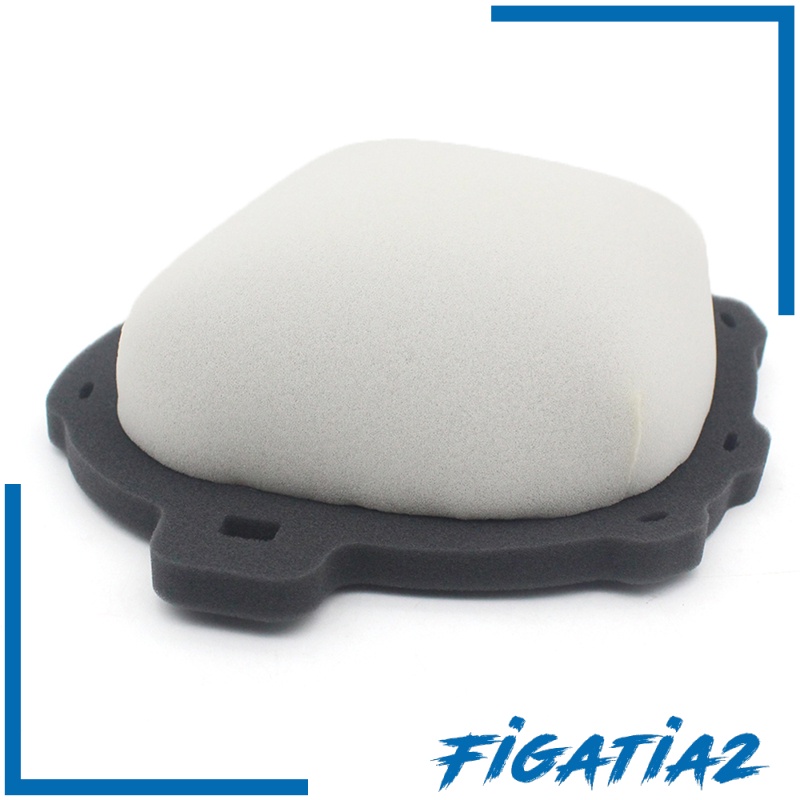 Bộ Lọc Khí Thay Thế Cho Xe Mô Tô Honda Crf450R Rx 2021 (Figatia2) | BigBuy360 - bigbuy360.vn