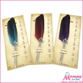 Bút lông vũ thư pháp Châu Âu, kèm 6 ngòi thư pháp, hàng chất lượng cao