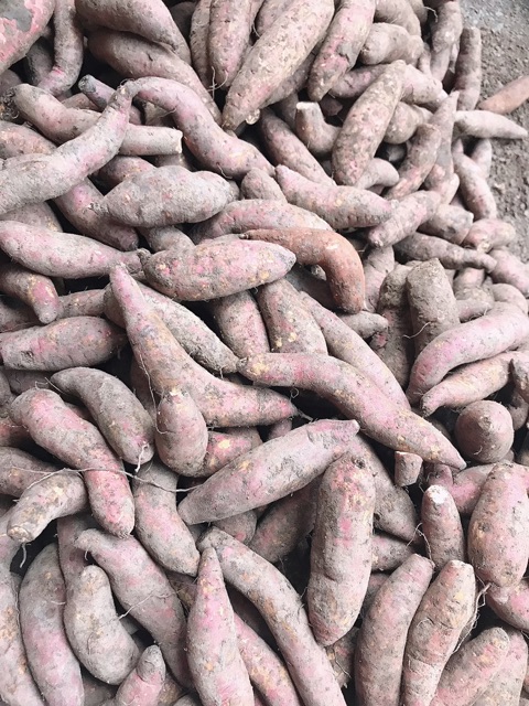 Combo 4 kg khoai lang mật 100k | BigBuy360 - bigbuy360.vn