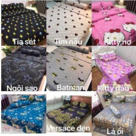 Chăn hè ga gối 1m6 cotton poly set 4 món mvdv hoa đào