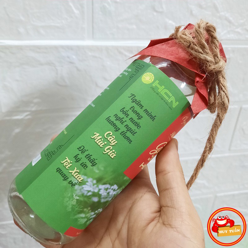 Nước tắm giao thừa - nước tắm cây mùi già dùng để tắm rửa trong ngày cuối năm chai 350ml | BigBuy360 - bigbuy360.vn