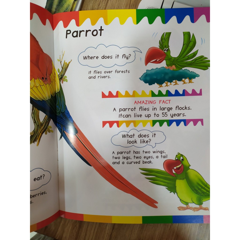 Sách - My First Questions &amp; Answers - Birds - 8930572920043