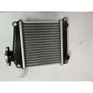 KÉT NƯỚC TẢN NHIỆT LEAD/SCR 110
