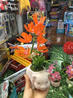 Hoa đá hand made