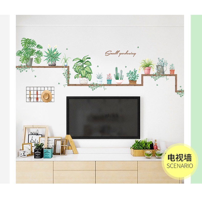 Decal dán những chậu cây cảnh