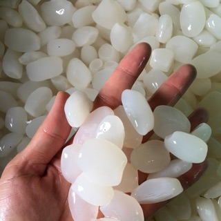 Hạt đác tươi