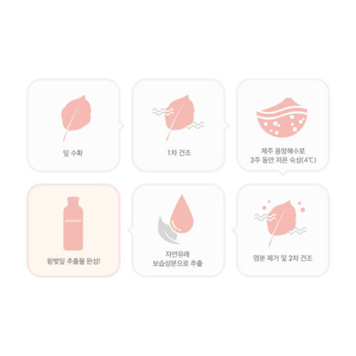 Kem dưỡng da INNISFREE thạch hoa anh đào Jeju 50ml / [INNISFREE] Jeju Cherry Blossom Jelly Cream 50ml