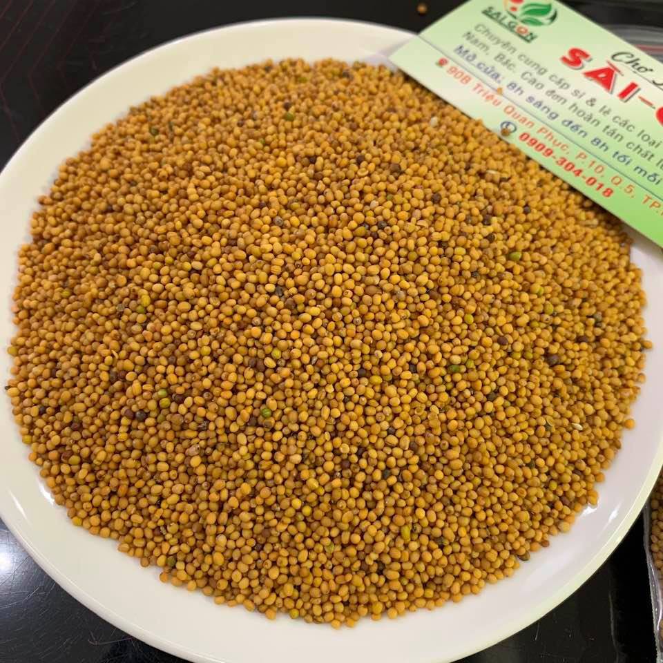 Bạch Giới Tử 1kg