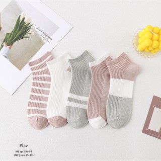 Set 5 đôi tất (vớ) cổ ngắn mùa hè cho nữ [SW-14]