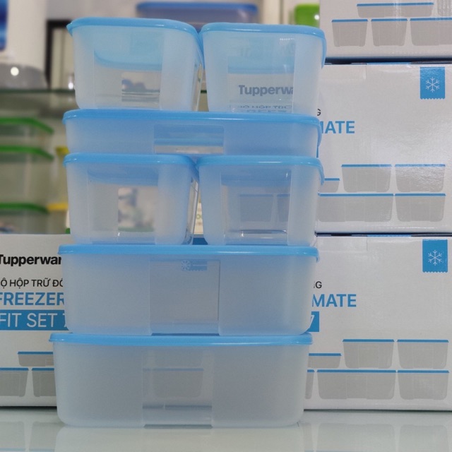BỘ HỘP TRỮ ĐÔNG FREEZERMATE FIT SET