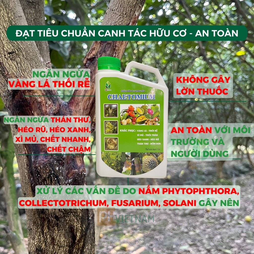 Diệt Nấm Sinh Học Chaetomium - Ngăn Ngừa Vàng Lá Thối Rễ, Thán Thư, Đốm Nâu, Thối Nhũn - PH VIỆT NAM
