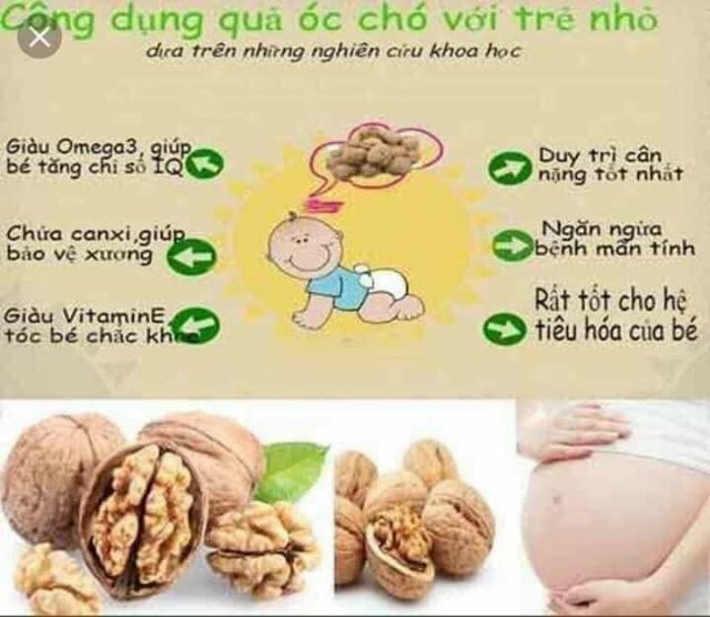 Hạt Óc chó organic