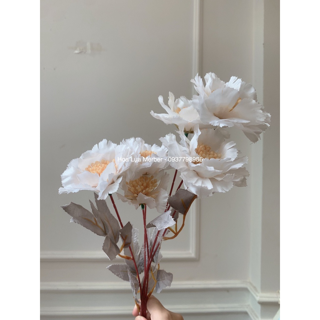 Cành Hoa Phăng Hạt 6 Bông Gam Màu Khô Hàn Quốc Merber  - Trang Trí Decor Phòng, Chụp Ảnh