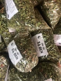 Xạ đen Điện Biên