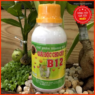 Vitamin B12 Giải Độc Cho Hoa Lan, Hoa Hồng, Cây Trồng