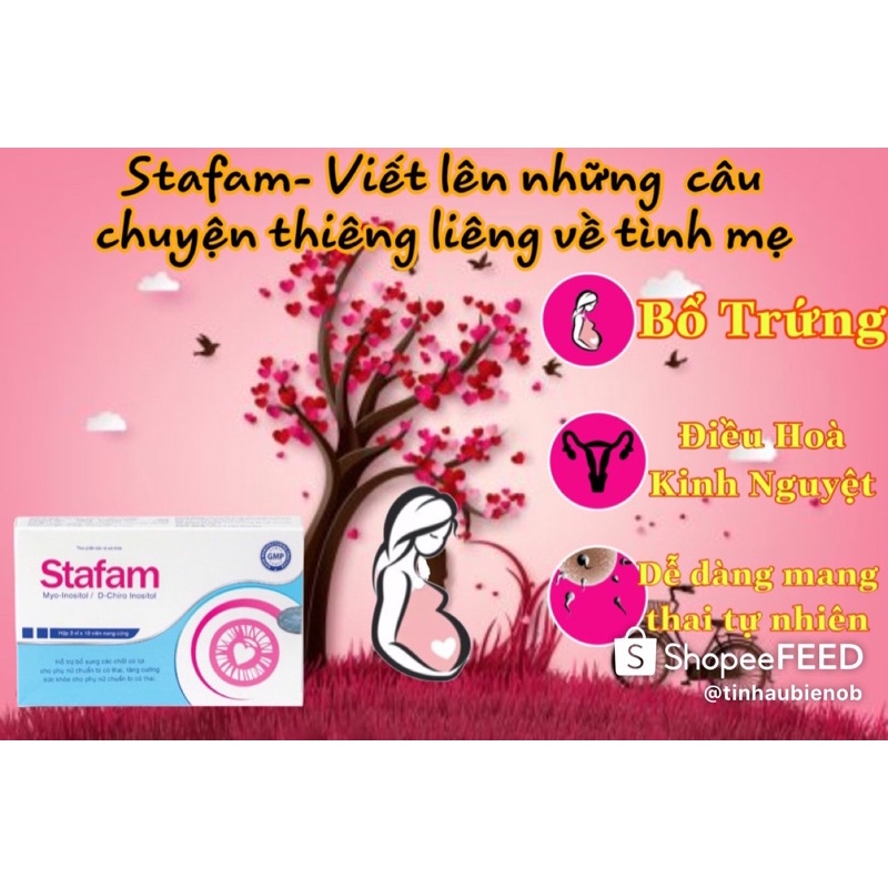 [COMBO 3] 2 STAFAM bổ trứng tăng thụ thai và 1 HÀU BIỂN Maca tăng số lượng,chất lượng tinh trùng, oyster, phượng mẫu đan