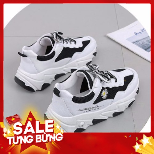 GIÀY NỮ, GIÀY THỂ THAO NỮ HOA CÚC ĐỘN ĐẾ 5 PHÂN TĂNG CHIỀU CAO SIÊU ĐẸP HH98 - Hàng nhập khẩu