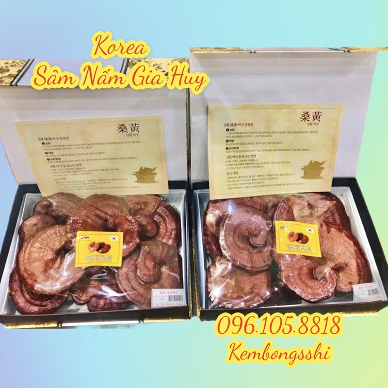 [HÀNG MỚI VỀ] Nấm Linh Chi Đỏ 6 HÀN QUỐC - HỘP QUÀ BIẾU SANG TRỌNG