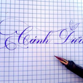 Bút Cánh Diều CD C01 (ngòi G trắng Calligraphy)