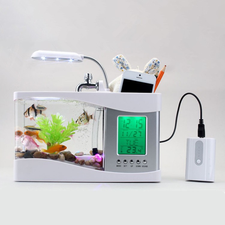 Bể cá mini để bàn