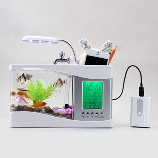 Bể cá mini để bàn