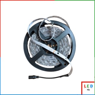 Led dây dán full color ic 1903 tự chạy