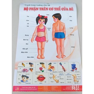 3 bộ tranh treo tường cho bé (6 tờ 14 chủ đề)