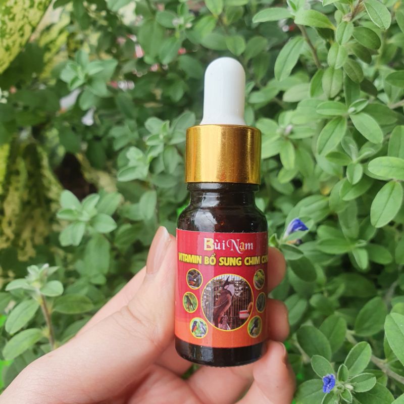 Nước ho, tiêu chảy, vitamin chim cảnh Bùi Nam