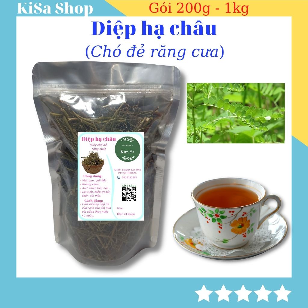 Diệp hạ châu khô chó đẻ răng cưa mát gan giải độc NT06