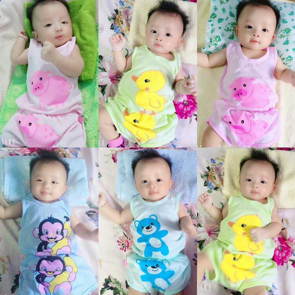 Quần áo trẻ em - Set 5 bộ chip gà cho bé từ 3-15kg