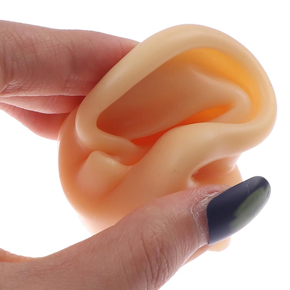 Mô Hình Trưng Bày Bông Tai Người Bằng Silicone Tỉ Lệ 1: 1