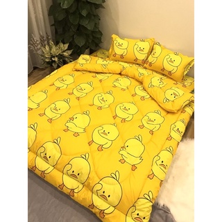 Chăn Phao poly cotton dày dặn ấm mềm mịn