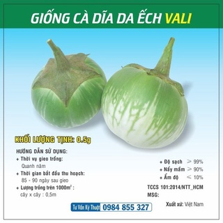 Hạt giống Cà Dĩa Da Ếch TN