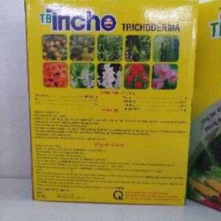 Chế phẩm sinh học Nấm Trichoderma hộp 1kg
