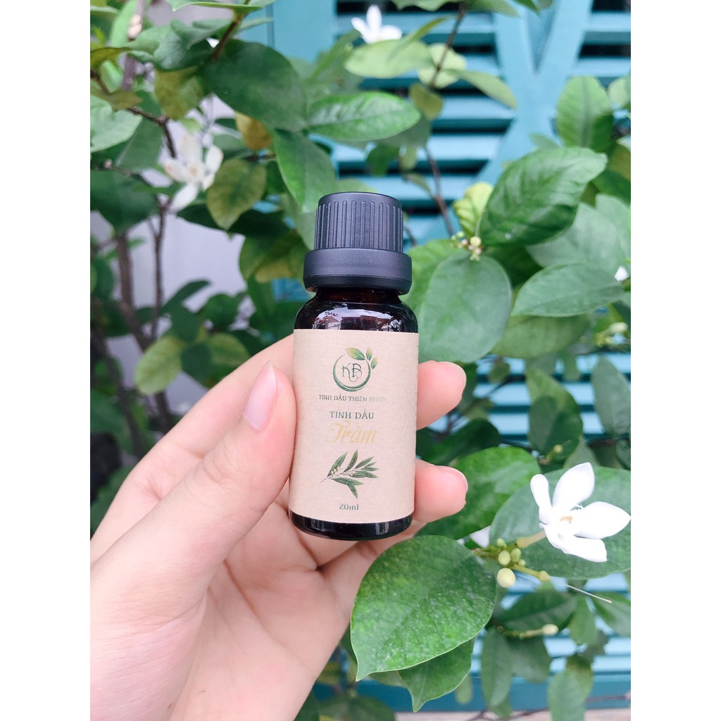 Tinh Dầu Tràm Chai 20 ml-Thiên Nhiên 100%-xông phòng-treo xe-giúp đuổi muỗi,khử khuẩn ,thơm phòng,thư giãn