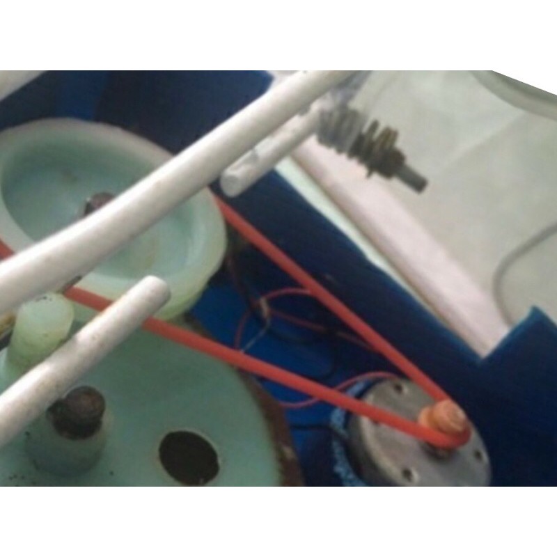 Dây coloa nôi Long hưng, Đại Vĩ loại dày- sợi lớn và nhỏ