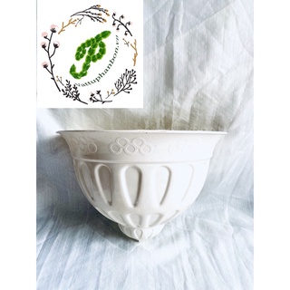 Chậu nhựa ốp tường sò 31x26cm - #819#