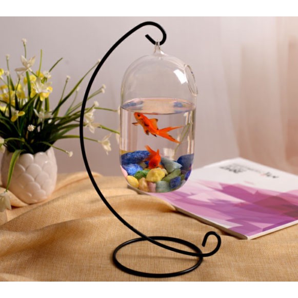 _Bình thủy tinh treo dưa cỡ to  20x10cm không kèm giá treo