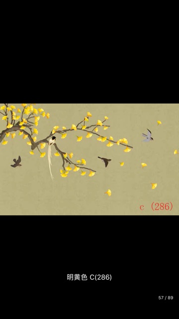 Phông chụp hình cổ trang vải không dệt