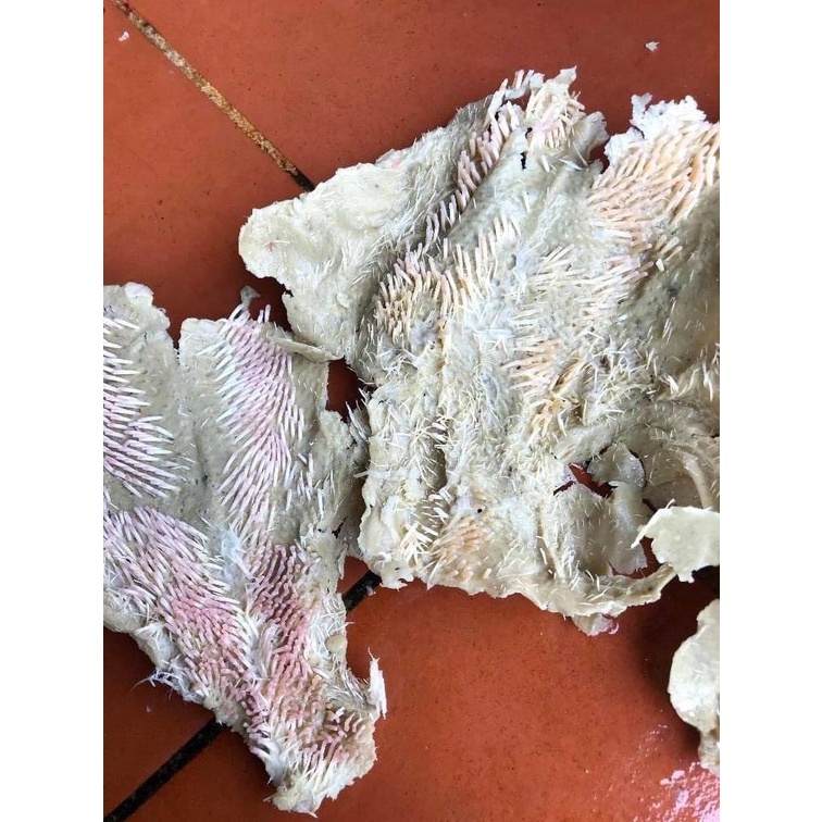 Bột lọc lông vịt dính trong sáp , bột lọc lông vịt , sáp vịt gói 1kg