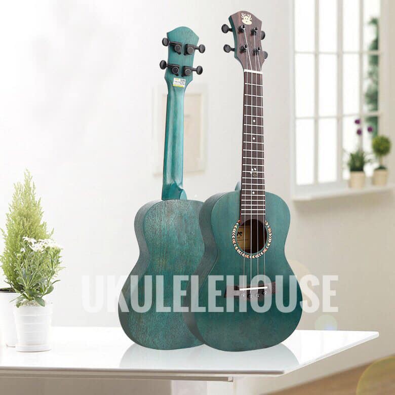 Đàn ukulele Concert BWS 23 inch (Hàng có sẵn, tặng full phụ kiện)