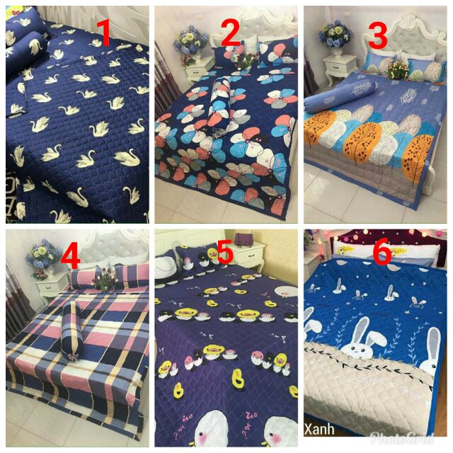 Bộ chăn ga hè 5 món cotton poly