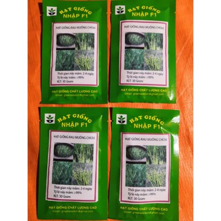 40 Gói hạt giống rau muống chùm/ 30 gram 1 gói
