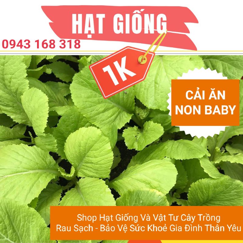Hạt Giống Rau Cải Ăn Non Baby Gói 1K - Gói 100 Hạt Tập Làm Vườn