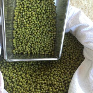 [FREESHIP TỪ 99K] Đỗ xanh quê 1kg