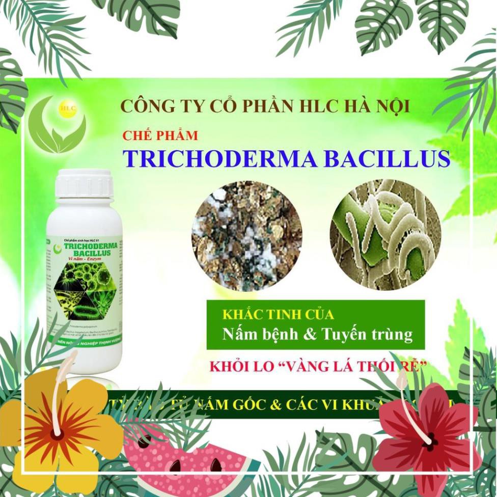 NẤM ĐỐI KHÁNG TRICHODERMA BACILLUS HLC  500ML - Ủ PHÂN CHUỒNG, TƯỚI CÂY, ĐỐI KHÁNG NẤM BỆNH, CẢI TẠO ĐẤT