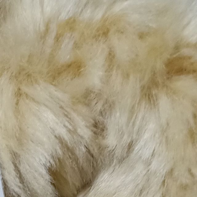 Gấu nhi gia