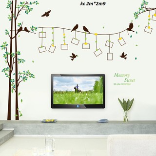 decal dán tường cây khung ảnh