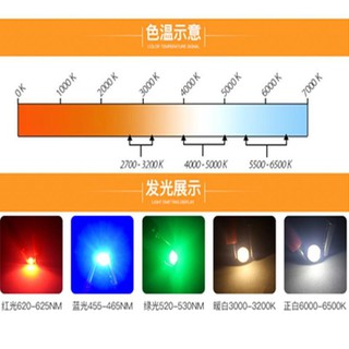 Combo 5 bóng luxeon 1w